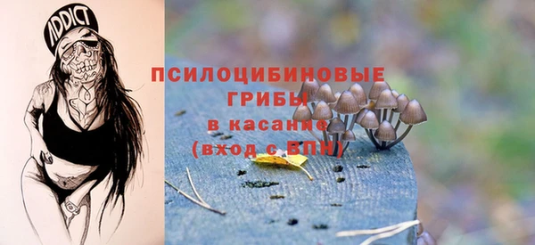 а пвп мука Бородино