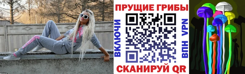 Галлюциногенные грибы Psilocybine cubensis  omg онион  Гусиноозёрск  продажа наркотиков 